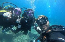 First-Time Scuba Dive – Turtle Habitat, Small Groups, Costa Adeje