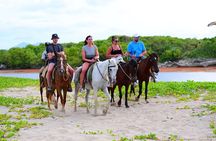 Punta cana beach Sunset Horseback riding 
