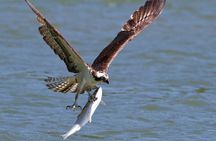 Gold Beach Boat Tour Experience