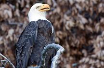 Gold Beach Boat Tour Experience