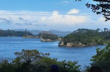 Matsushima Bay, Islands and Seafood Market day tour from Tokyo