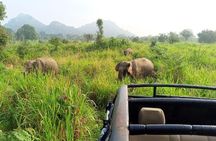 waild jeep Safari minneriya and kaudulla national park