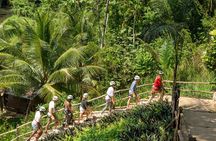 Electric Bike Ride and Jungle Zipline Adventure 