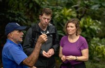 Coffee, Nature and Culture with Tica Family in Monteverde