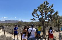Historic Grand Canyon Western Ranch by Van with Helicopter Tour