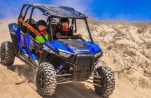 Los Cabos ATV/UTV & Horseback Riding COMBO Tour & Tequila Tasting