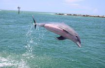Experience Parasailing in Sarasota