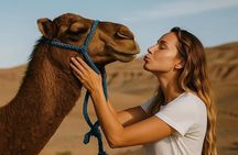 Marrakech: Desert agafay Quad Bike, Camel Ride & Fire Show Dinne