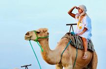 Marrakech: Desert agafay Quad Bike, Camel Ride & Fire Show Dinne