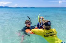 Express Day Tour to Frankland Islands Great Barrier Reef