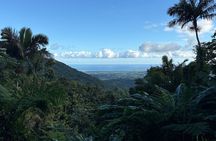 Private El Yunque Adventure – Hidden Waterfalls & El Toro Trail!