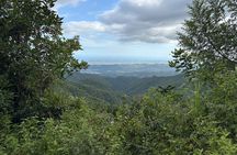 Private El Yunque Adventure – Hidden Waterfalls & El Toro Trail!