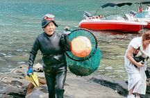Jeju Island Eastern UNESCO site Full Day Guided Tour