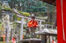 Kyoto: Fushimi Inari Hidden Hike (Private)