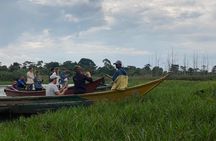 Shoebill Excursion and Watching Experience at Mabamba 