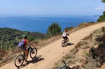 Family E-bike Tour to the Stella Lacona Gulf
