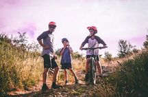 Family E-bike Tour to the Stella Lacona Gulf