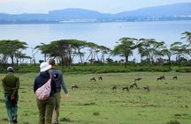 Lake Naivasha Boat ride and Crescent island walk from Nairobi