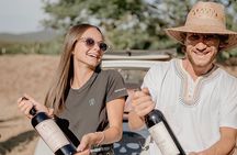 Wine Tasting and Estate Tour in Bolgheri
