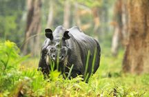 Kaziranga National Park & Guwahati