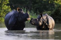Guwahai, Kaziranga & Majuli Island Tour