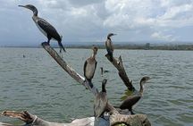 5 Days Masai Mara , Lake Nakuru and Lake Naivasha private tour