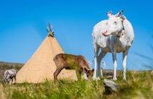 North Cape and Sami Adventure Guided Minivan Tour with Entrance
