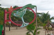 Seven Miles Beach in Negril and Ricks Cafe from Montego Bay 