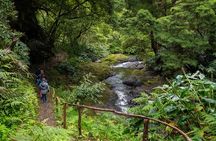 Chasing Waterfalls in the Azores