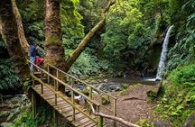 Chasing Waterfalls in the Azores