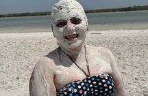 Nature Tour in Rio Lizards: Crocodiles and Flamingos