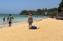 Dunn's River Falls & Island Village, Private Tour from Kingston 