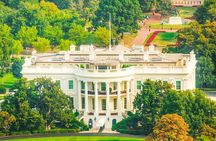 Iconic Film and Movie Locations Half Day Tour in Washington D.C.