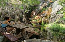 Explore Naxos Waterfall and Enjoy a Traditional Full Meal,Private