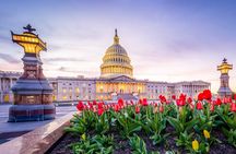 Iconic Film and Movie Locations Half Day Tour in Washington D.C.
