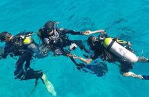 Hula Hula Island Or Orange Bay Island With Diving Experince