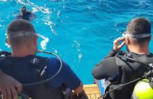 Hula Hula Island Or Orange Bay Island With Diving Experince