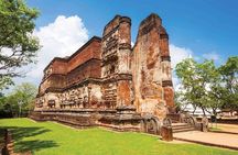Polonnaruwa Ancient Site and Minneriya National Park Tour
