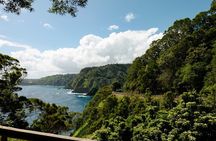 Half way to Hana Maui Open Air Jeep Private Tour