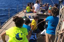 Sunset Sailboat Snorkeling with Aperitif on Board