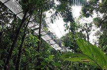 Mystical park Canopy Canyons with Hot Springs and Lunch
