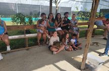 the monkey house and city tour.