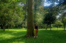 Kandy Full Day Tour from Colombo and Negombo and CMB Airport