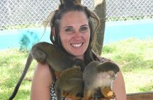 the monkey house and city tour.
