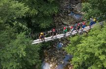 Tree Tops Zip Line Canopy Tour