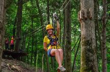 Tree Tops Zip Line Canopy Tour