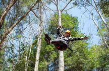 Tree Tops Zip Line Canopy Tour