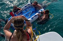 Snuba Adventure at Emerald Reef