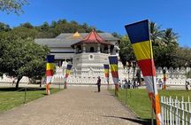 Kandy Full Day Tour from Colombo and Negombo and CMB Airport