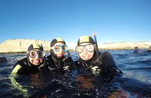 Snorkeling with Sea Lions